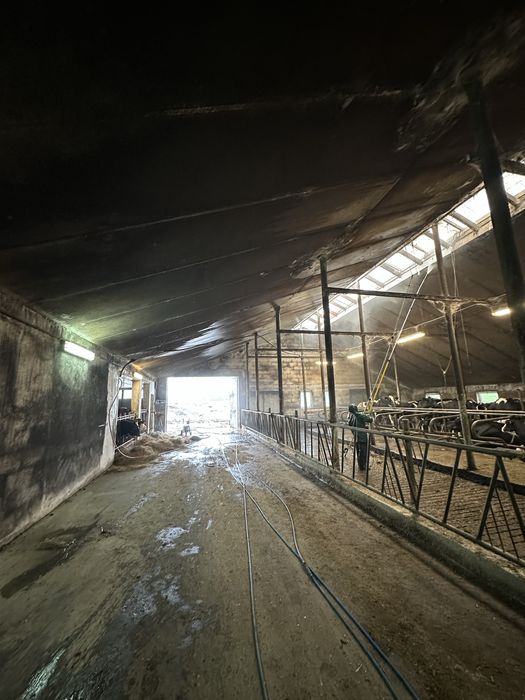 Mycie Fotowoltaiki kurnika chlewni obory bielenie nacinanie ruszt