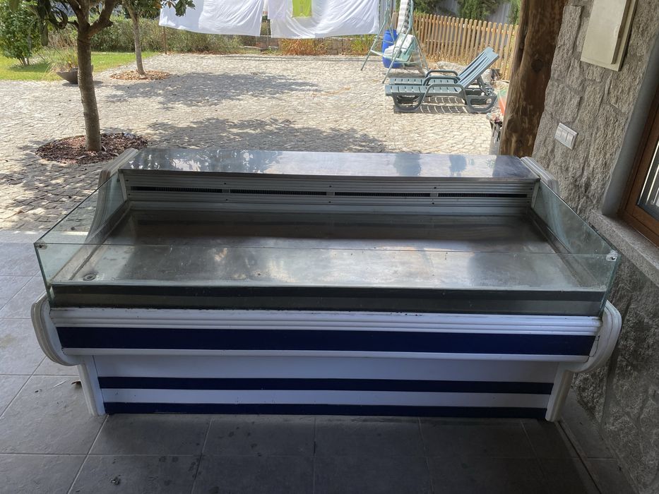 Vitrine frio peixaria