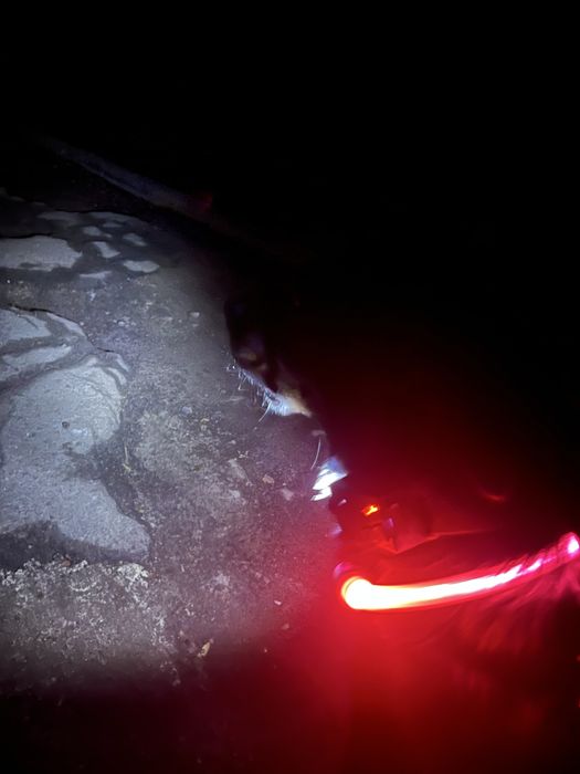 Налобный фонарь с датчиком движения