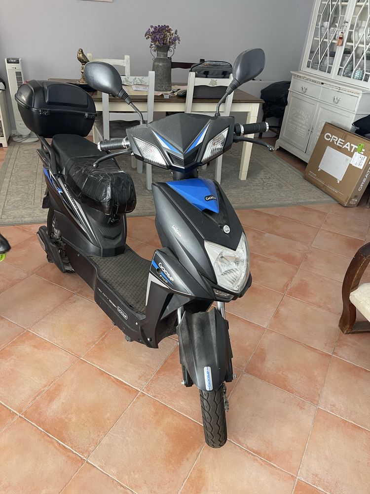 Moto electrica Goose Five