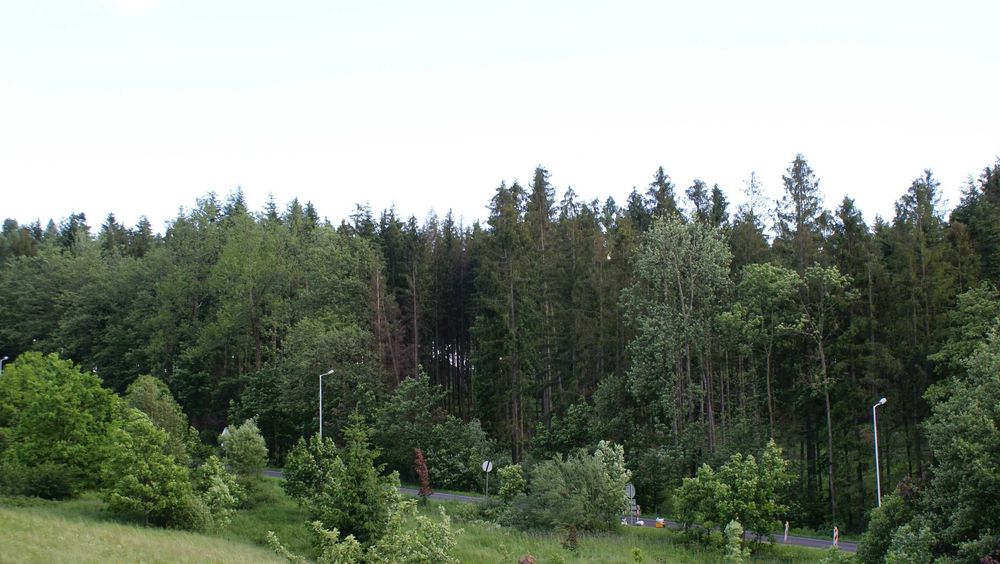 Istebna Domki całoroczne wolne terminy