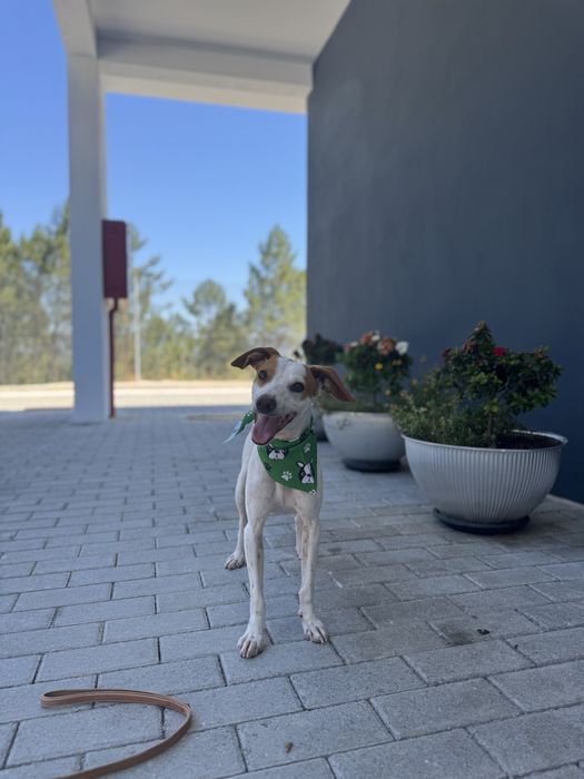 Otávio - 3 anos, 10kg