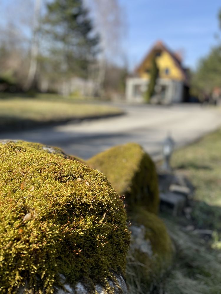 Villa LaMania, dom z basenem, jacuzzi, sauna, Mazury, dom nad jeziorem