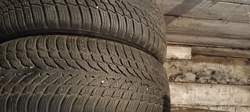 Шини Nokian tyres WR snowproof 205/55 r16