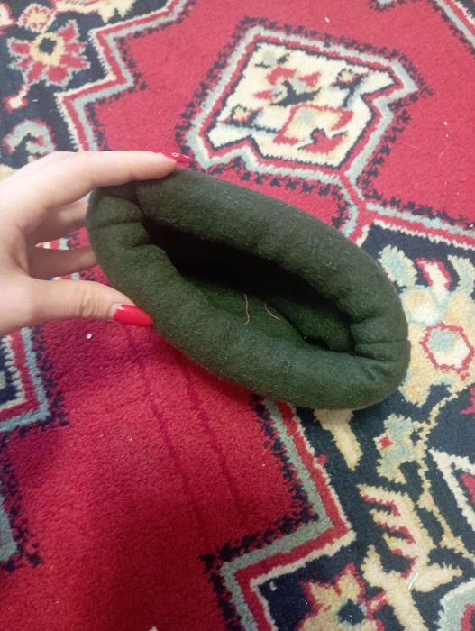 Пацюки. Морські свинки