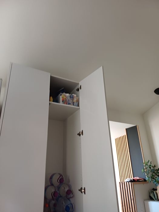 Letões bisaros  boa qualidade