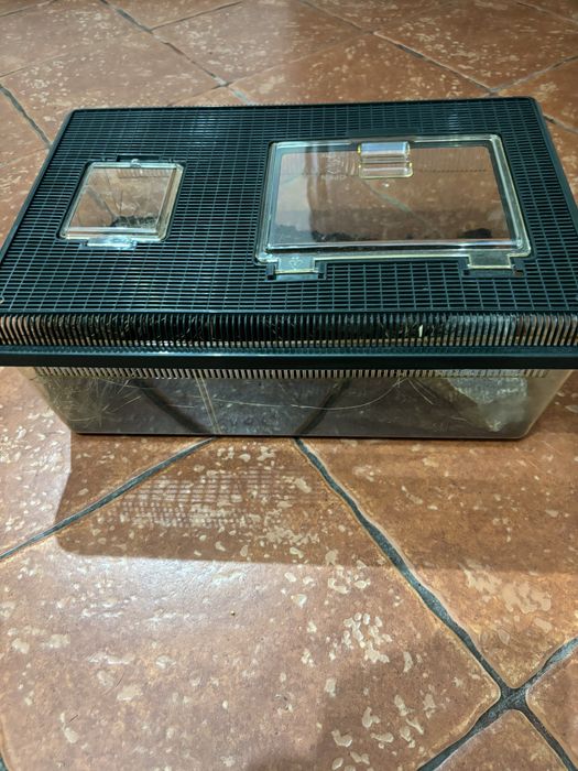Terrarium faunarium Exo Terra plaskie dla węża gekona
