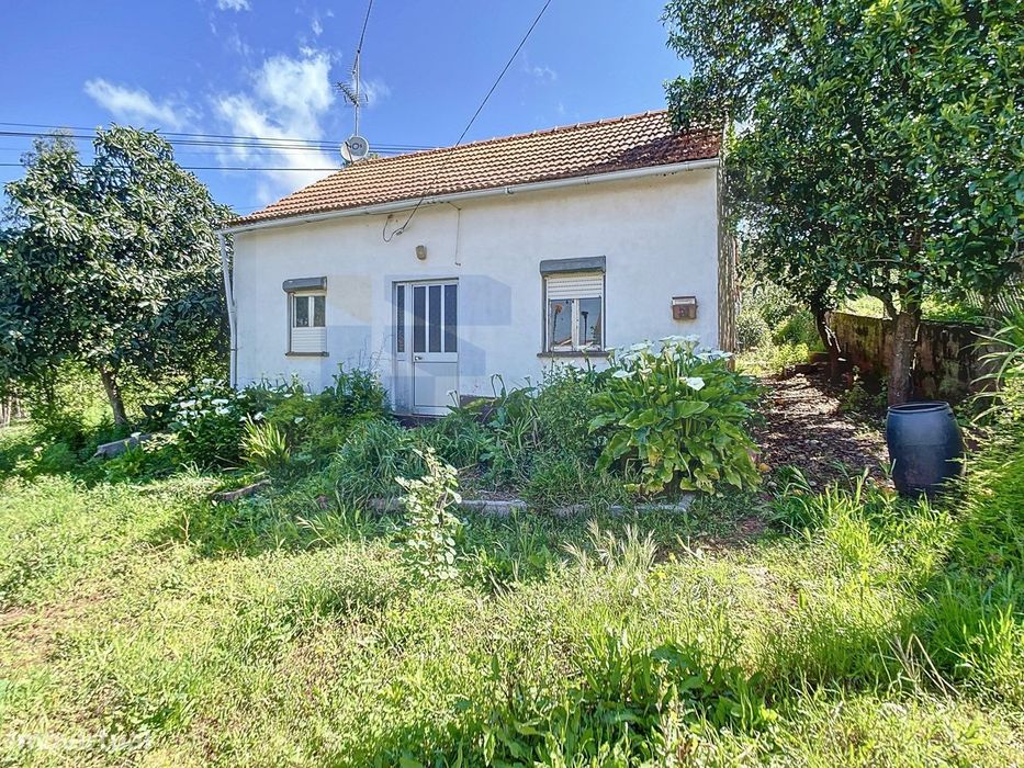 Moradia T3 com Terreno Amplo para Recuperação