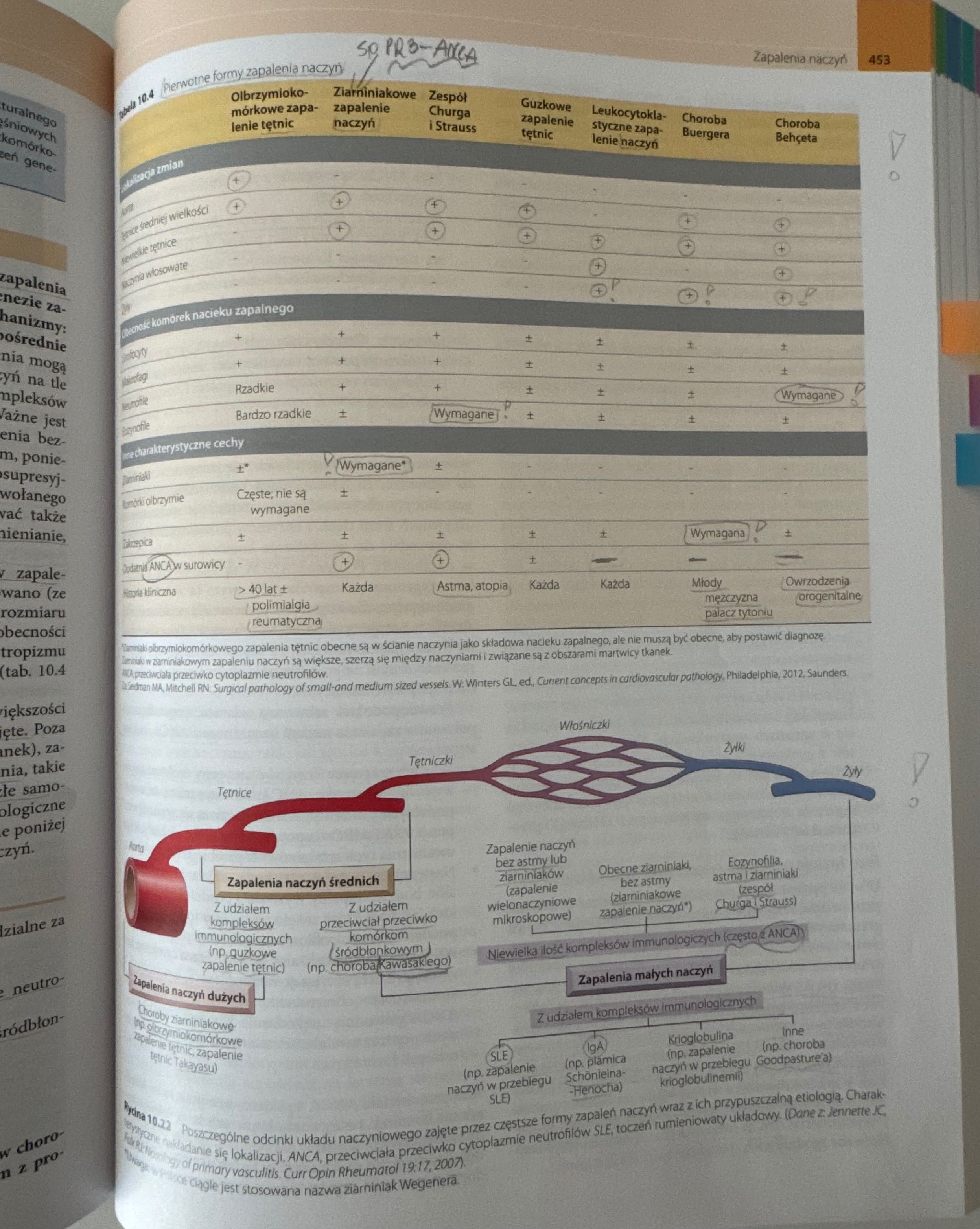 Robbins Patologia Podręcznik 2019