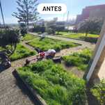 Limpeza de Jardins e Terrenos