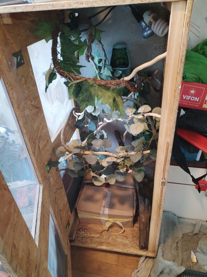 Sprzedam terrarium