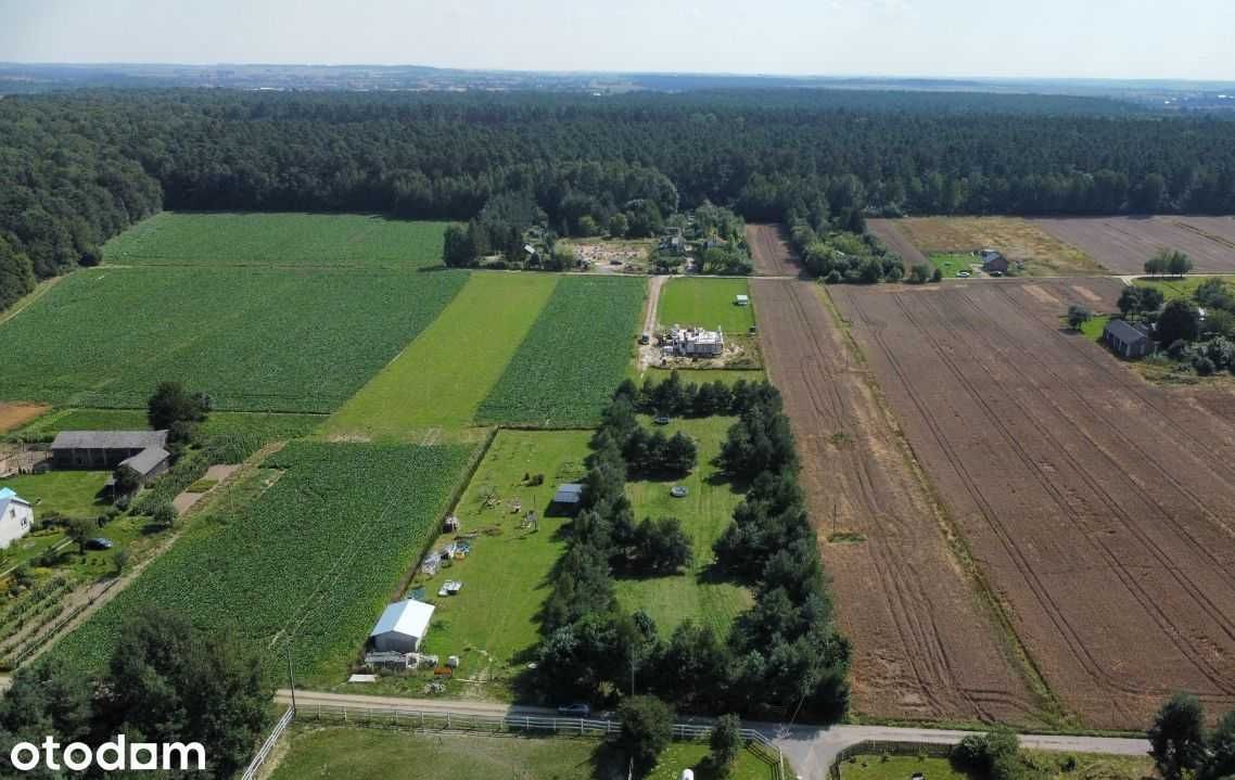 Działka Budowlana 4000m2 Uzbrojona  Bez Pośredników