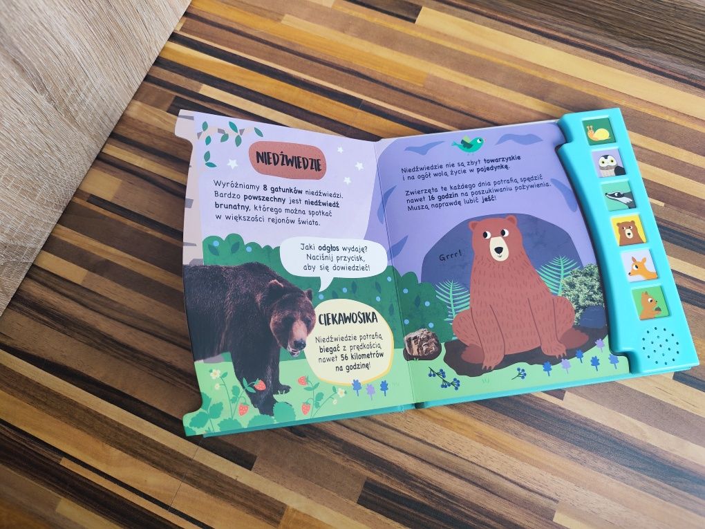 Świat wokół nas. W lesie książeczka dźwiękowa grająca interaktywna