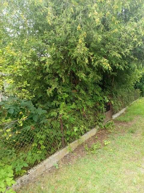 Sprzedam działkę ROD Kawęczyn Warszawa