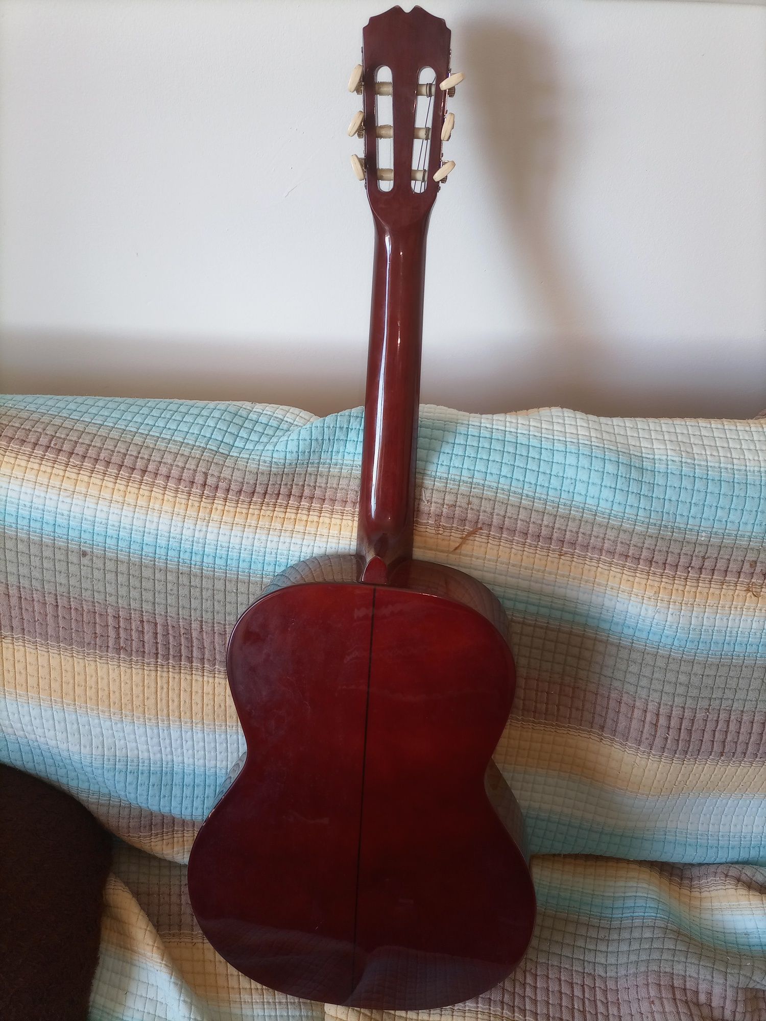 Viola usada Sonora