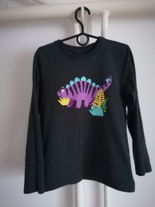 Zestaw koszulek Next/lupilu