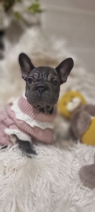 Дівчинка big rope velvet 2,5 міс