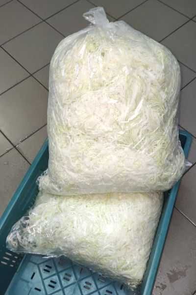 Kapusta w główkach , odmiany do kiszenia.