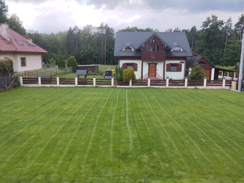 Zakładanie trawnika / System nawadniania