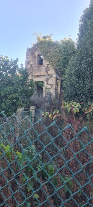 Quintinha em Ribeirão