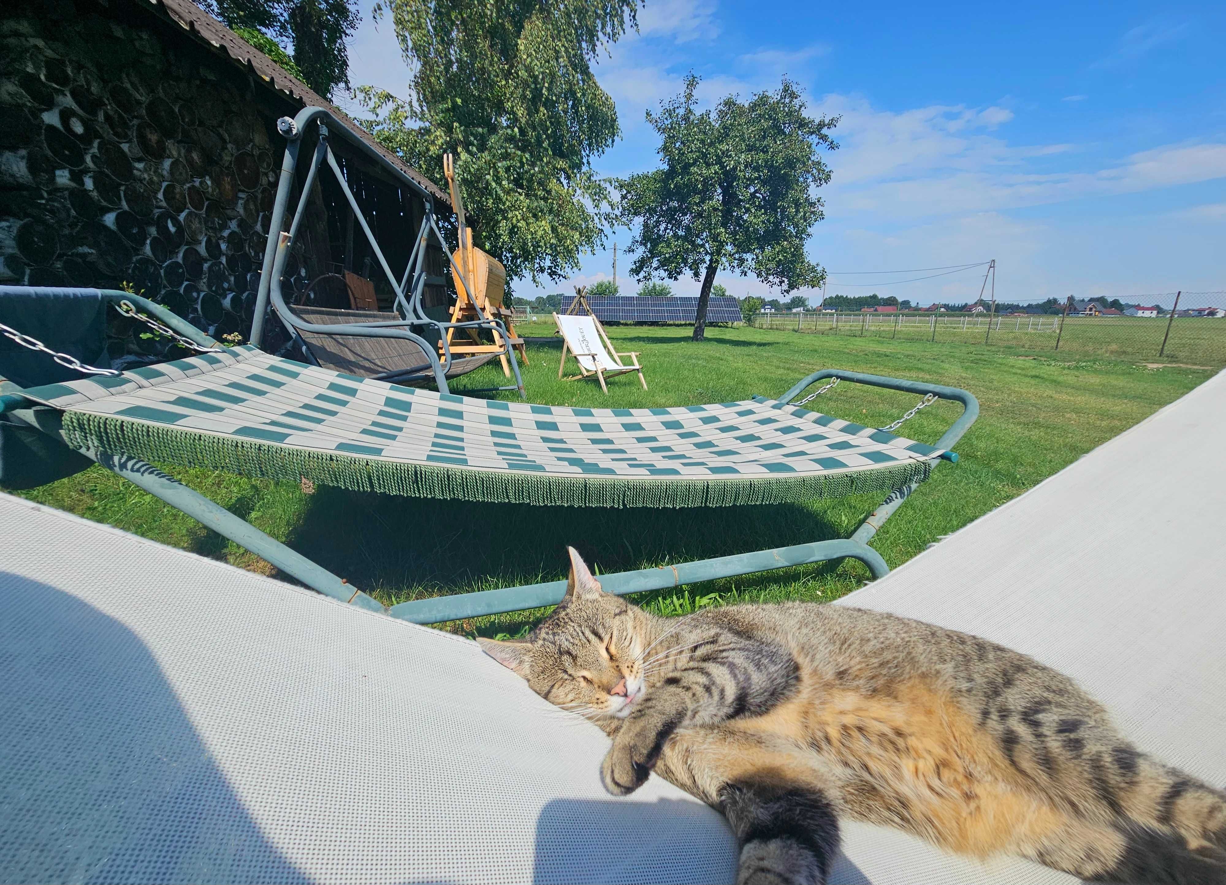 Agroturystyka Ranczo Na Końcu Świata