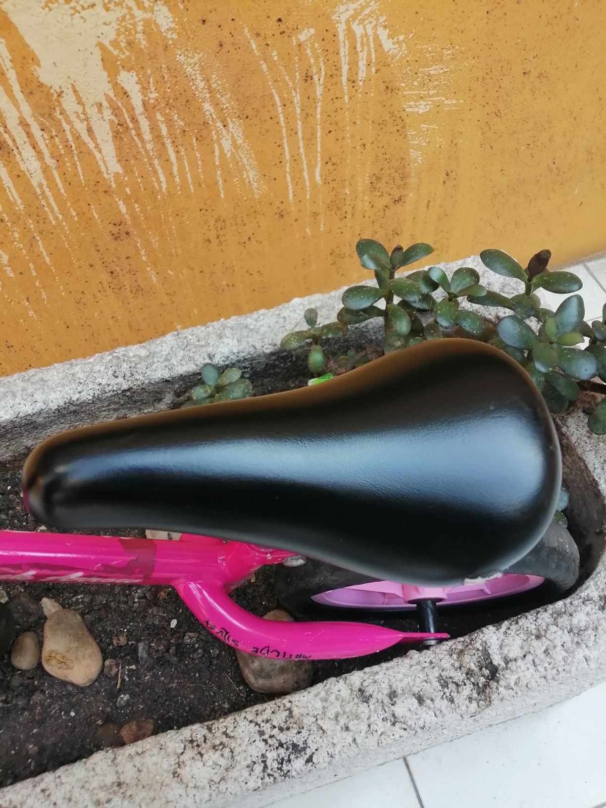 Bicicleta de treino