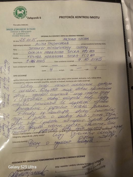 Szczeniaczek czarnego sznaucera miniaturowego