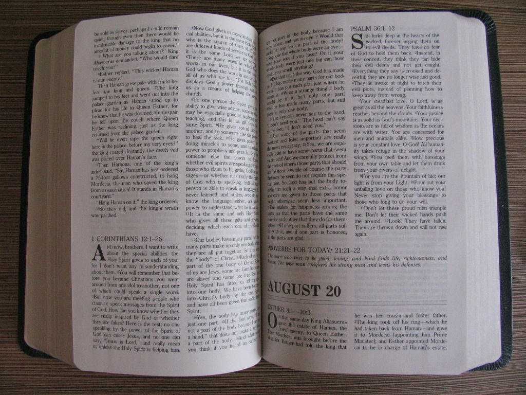 The One Year Bible - Biblia w języku angielskim