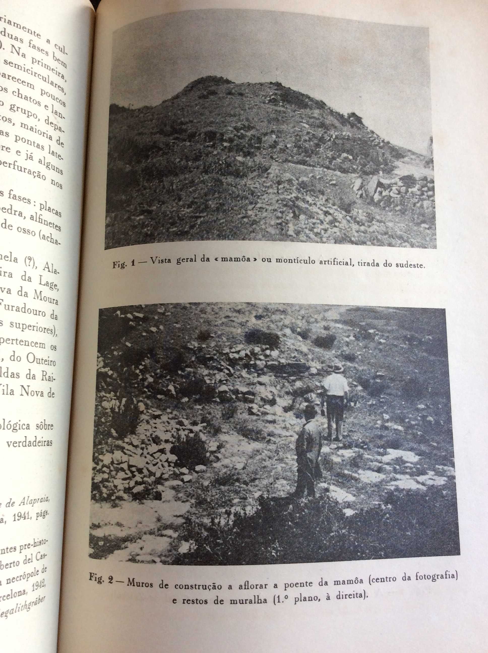 Brotéria. Revista contemporânea. de cultura, 1946. Ver sumário
