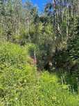 Terreno  para venda