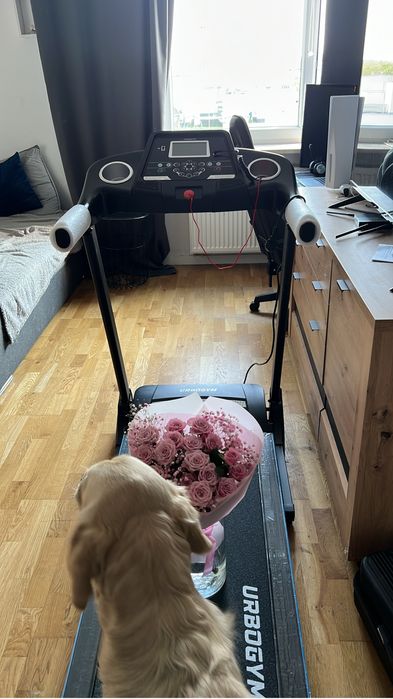 Bieżnia Urbogym v520