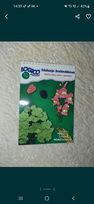 Komplet 3 książeczki do ra.ki logico piccolo