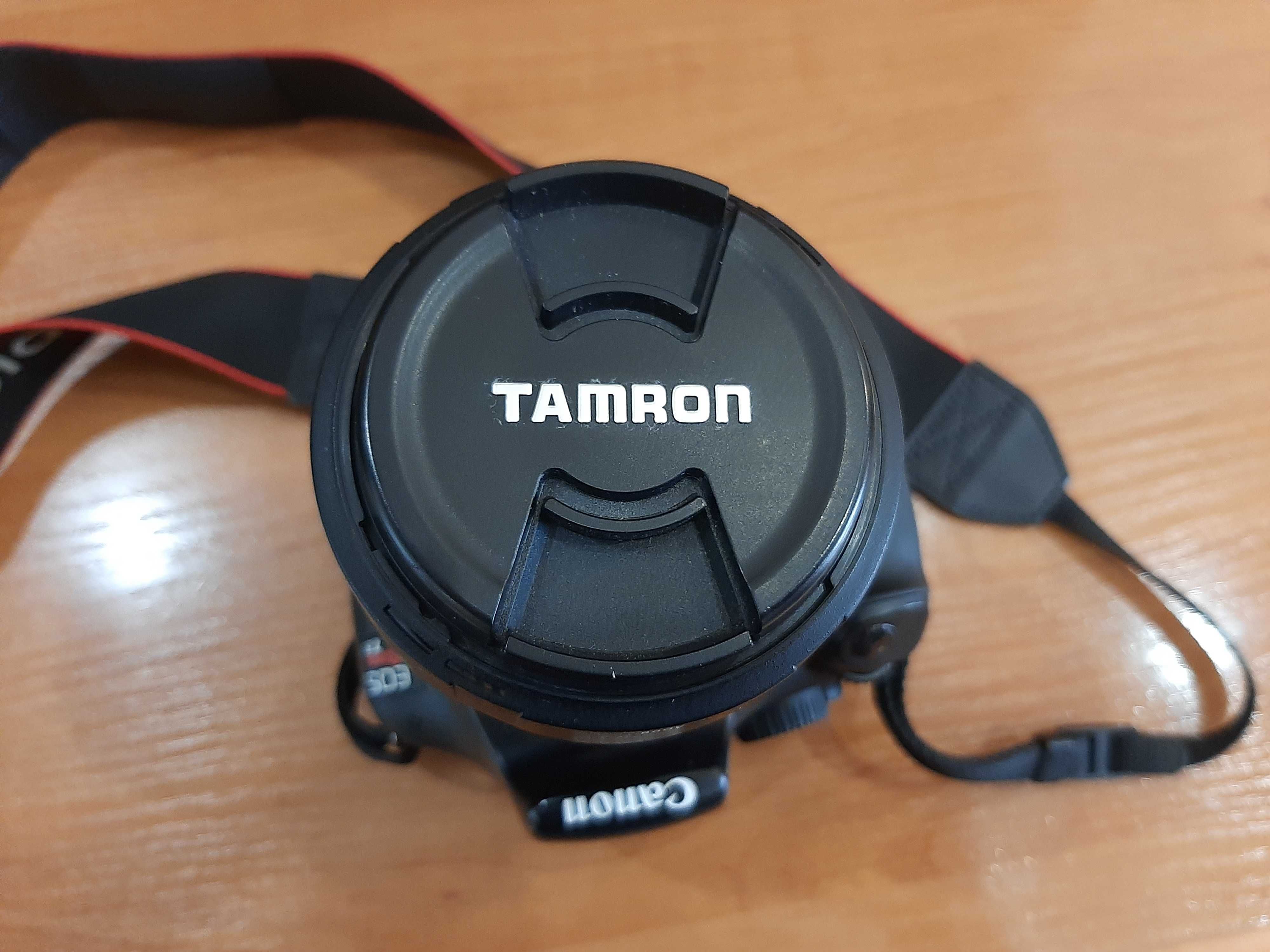 Canon EOS Rebel T3 + Tamron AF18-200mm F / 3.5-6.3 XR Di II  Macro