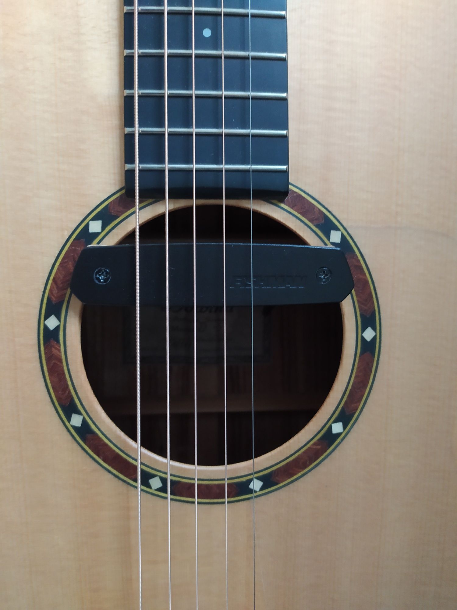 Gitara  Dowina Marus D z fishmann neo