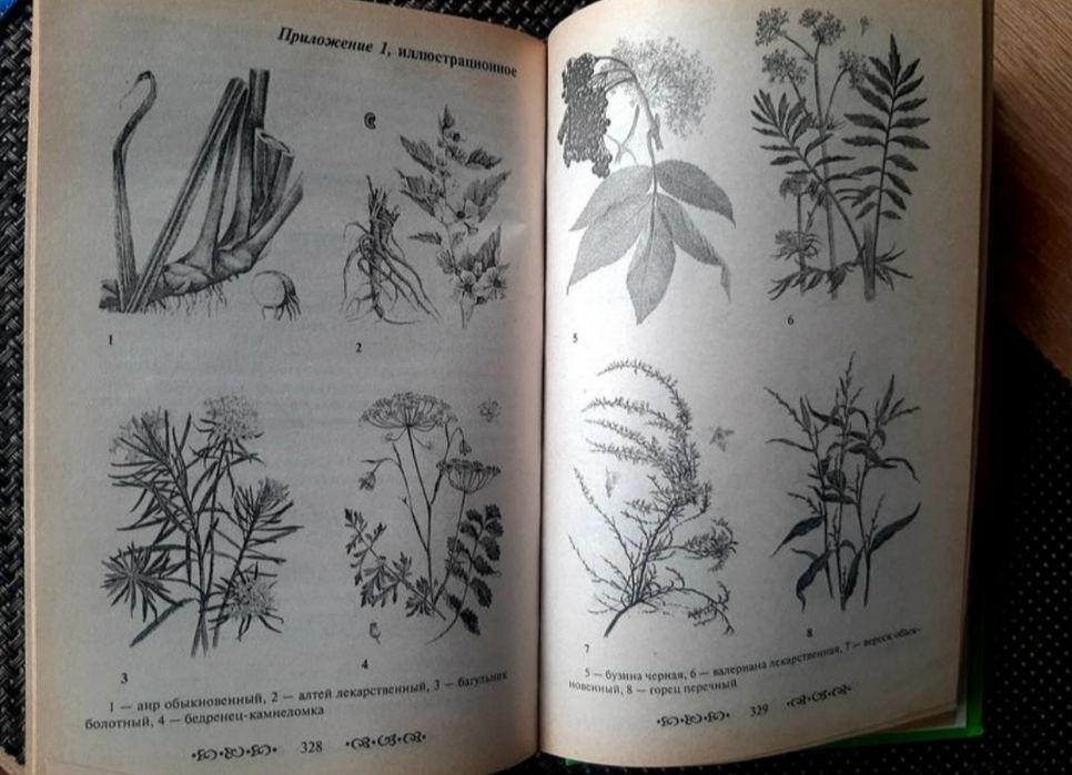 Великий довідник народної медицини, російською