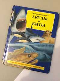 Книжка Акули і Кити. Інші Морські Тварини. Для дітей. Ілюстрована.