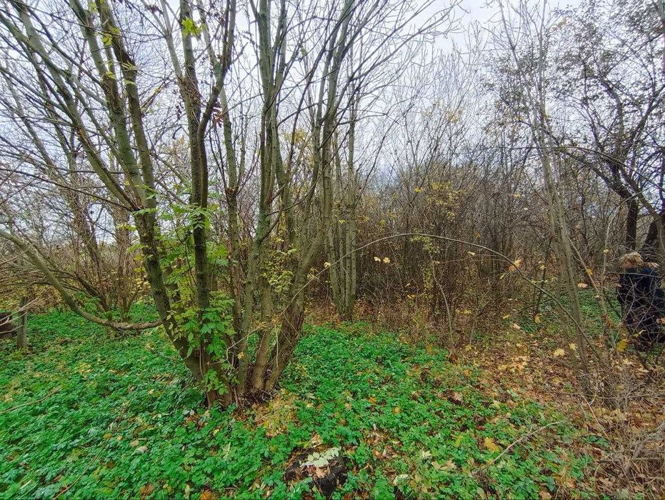 Продам Дом-Участок 25сот с. Просяное. Асфальт к Дому