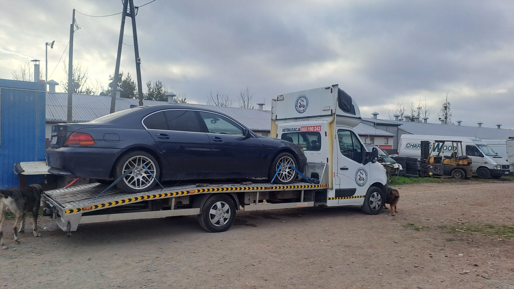 Skup Aut Złomowanie AutoKasacja Gotówka  Skórcz  Okolice