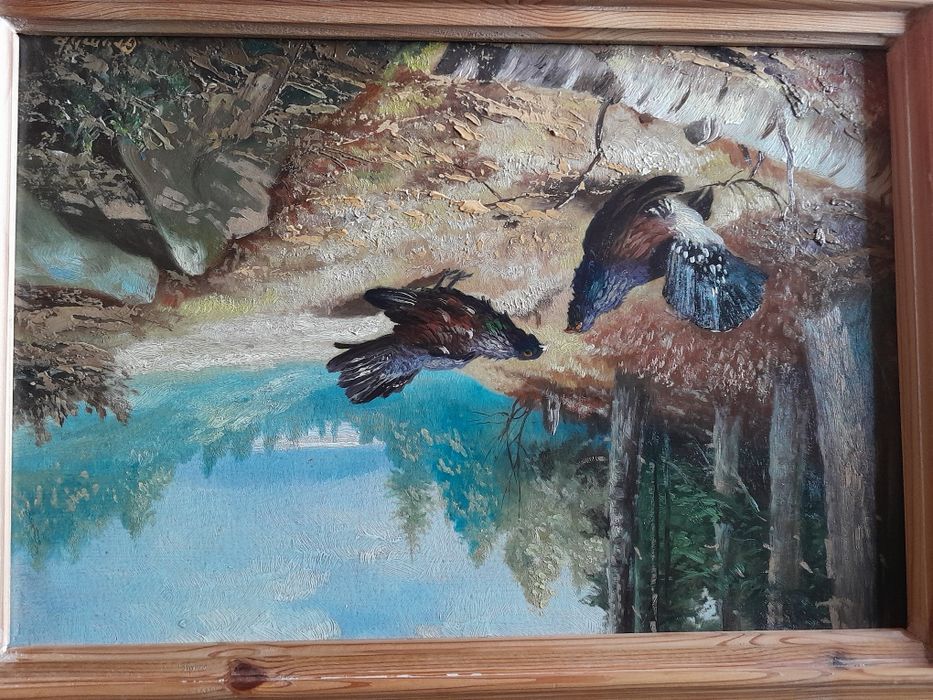 Myślistwo, tok cietrzewi.