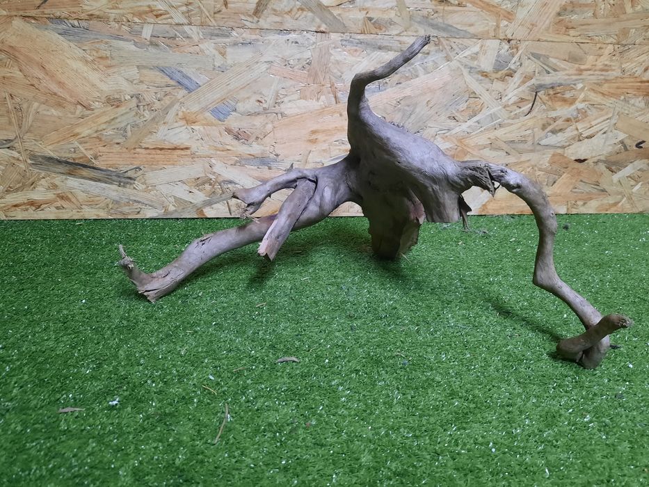 Korzeń do akwarium Red Moore Wood nr 875 o wymiarach 36/30/30