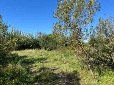Оренда землі  під промисловість 9,8480га,м. Хуст,  І.Франка