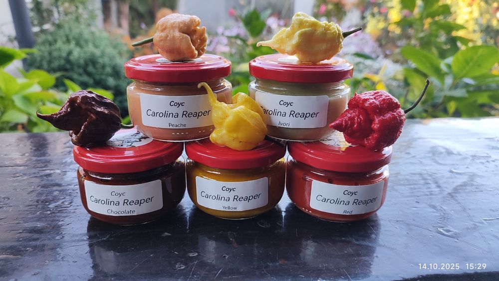 Соус Carolina Reaper концентрат.100мл.