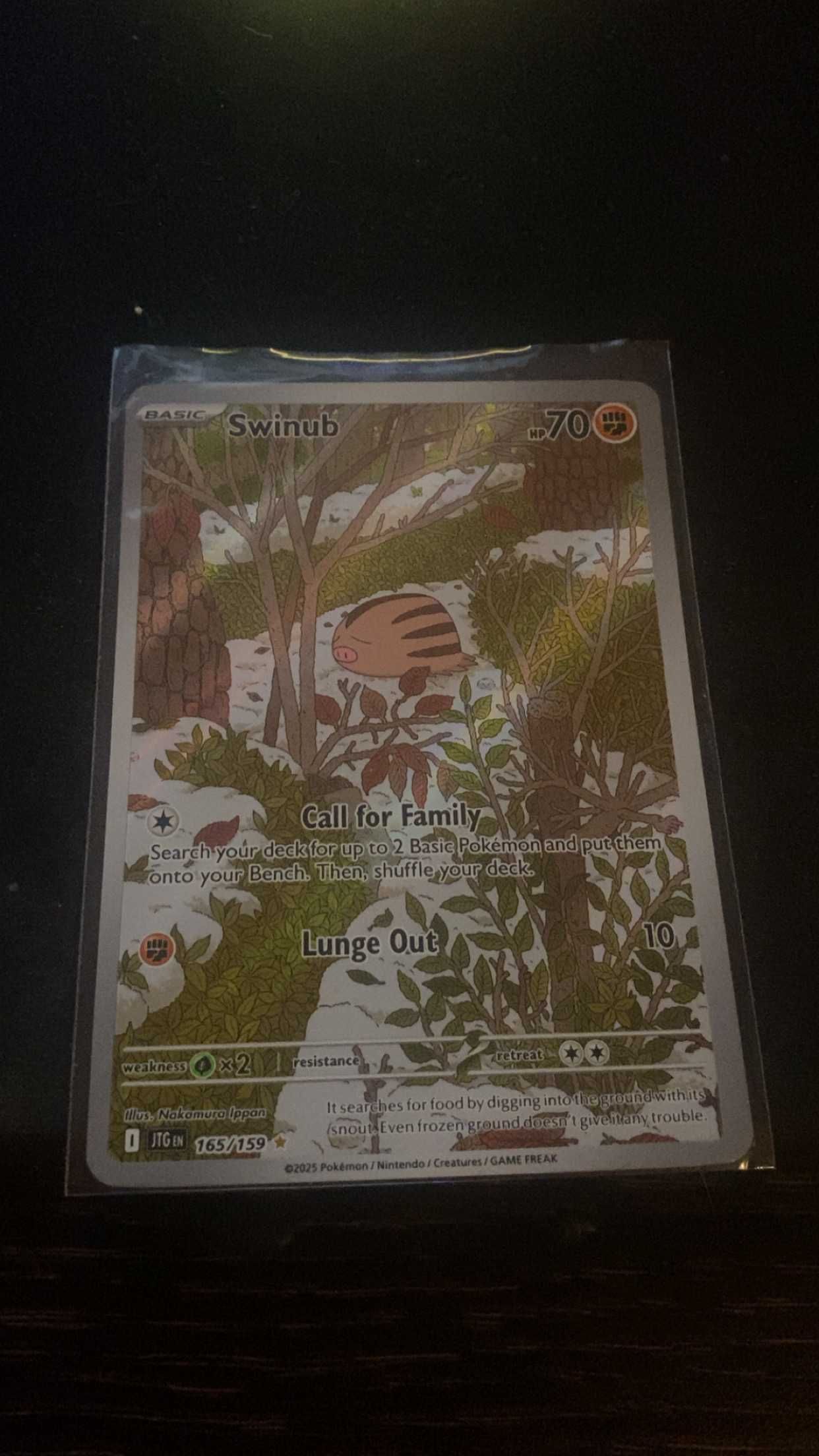 pack cartas pokemon