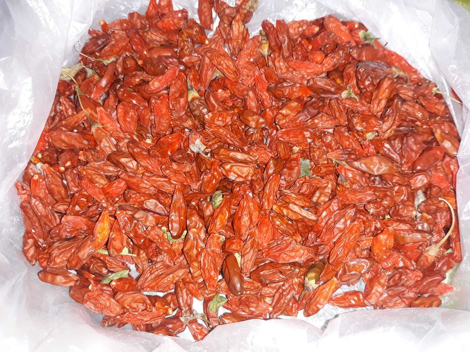 Ягоди годжи для здоров'я та схуднення.