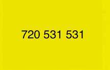 Prosty numer | zloty numer | a2mobile/plus