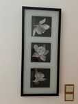 Vendo quadro decorativo
