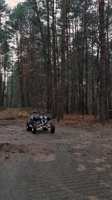 Polaris predator 500