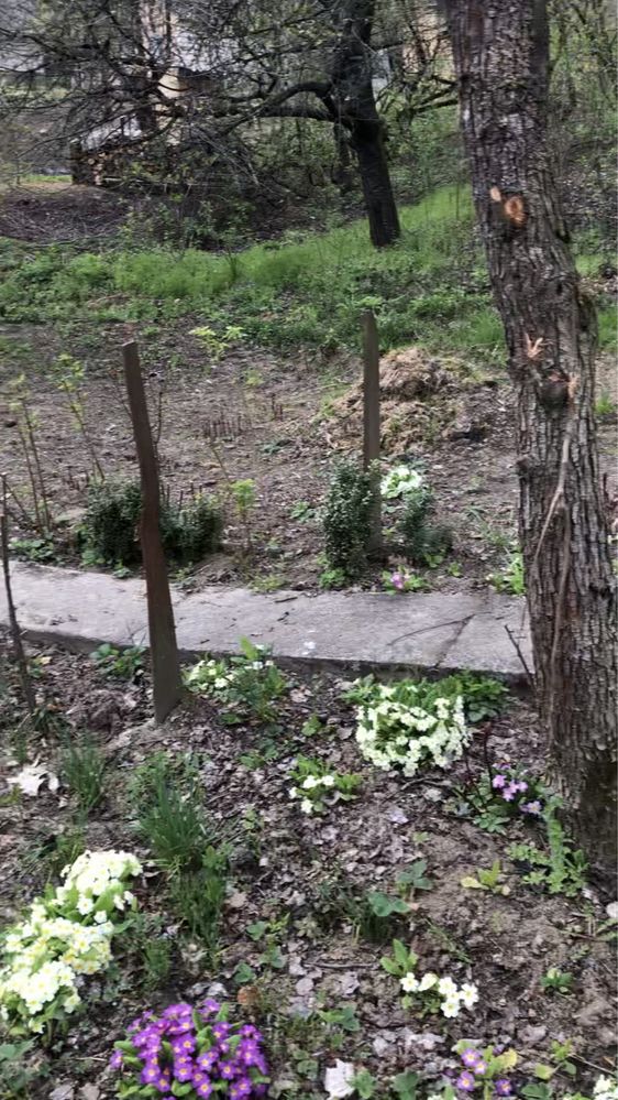 Продається дача