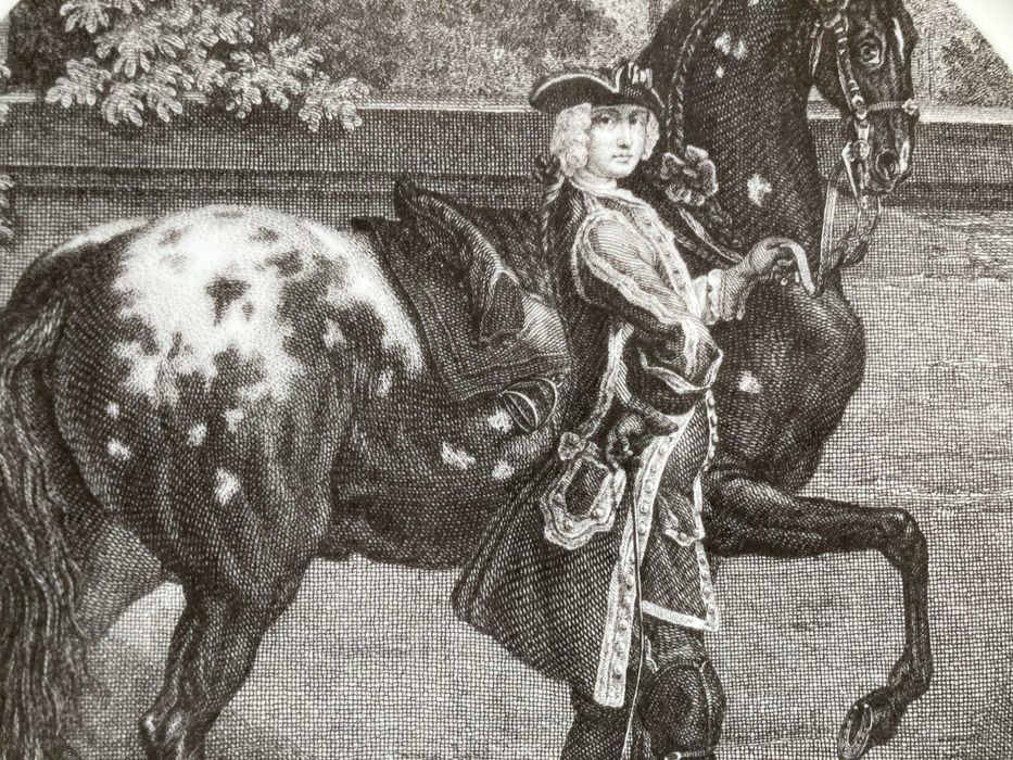 Prato decorativo Vista Alegre