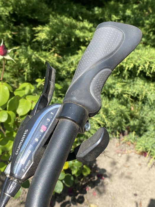 Rower trekkingowy Kross ALP 19” męski